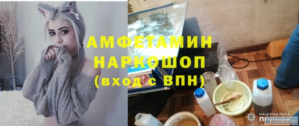 ALPHA PVP Каменка