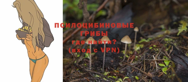альфа пвп Каменск-Шахтинский