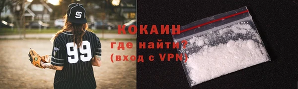 ALPHA PVP Каменка