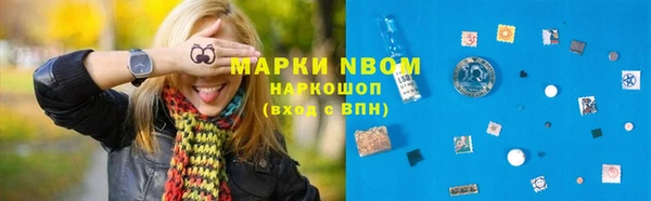 apvp Каменногорск