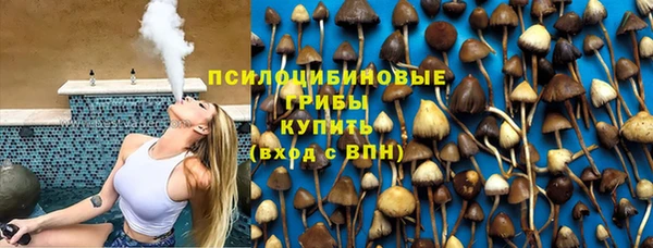 apvp Каменногорск