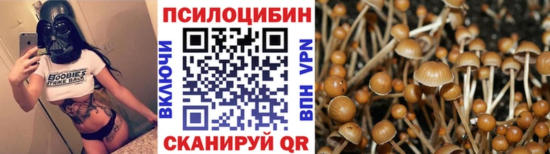 Купить закладки  Кинель  Псилоцибиновые грибы Magic Shrooms 